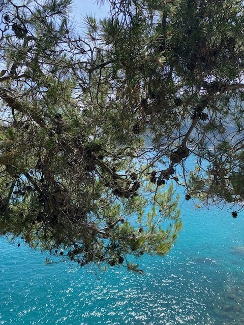 Liguria, Monterosso al Mare, Cinque Terre, kaunis maisema, meri