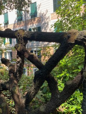 Parco della Villetta di Negro, Genova, Liguria